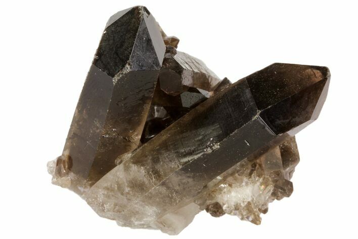 Dark Smoky Quartz Crystal Cluster - Brazil #79934